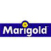 MARIGOLD