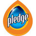 PLEDGE