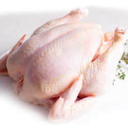 FREE RANGE CHICKEN KG  HMC
